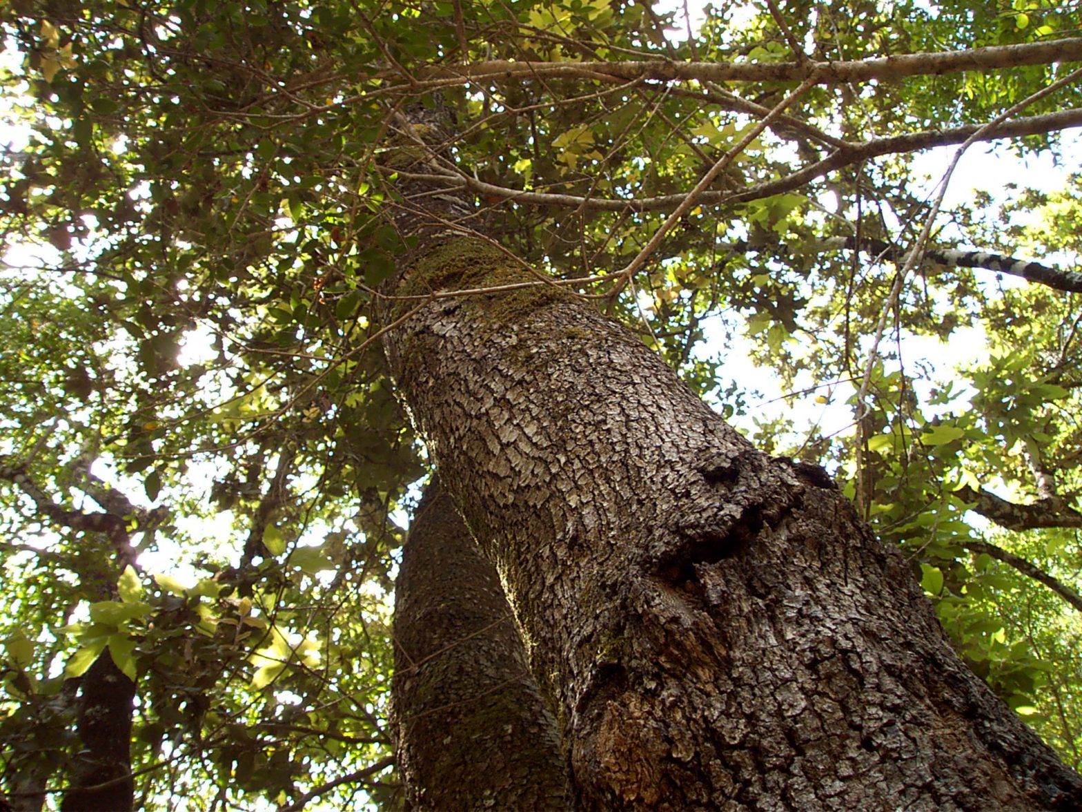 Comunicazione Ecologica